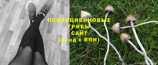 PSILOCYBIN Абинск