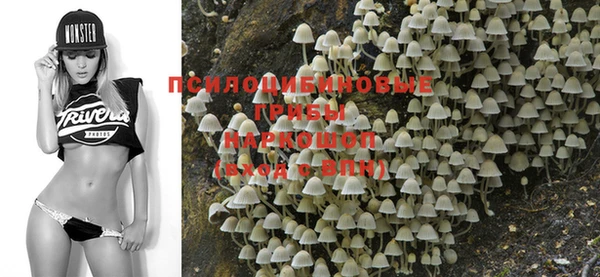 PSILOCYBIN Абинск