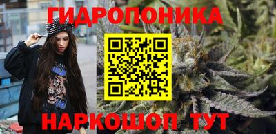 стаф Аргун
