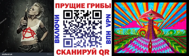 где купить   Солнечногорск  Галлюциногенные грибы Psilocybine cubensis 