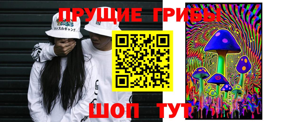 Солнечногорск  Псилоцибиновые грибы Psilocybe  Галлюциногенные грибы прущие грибы  Вход с VPN 
