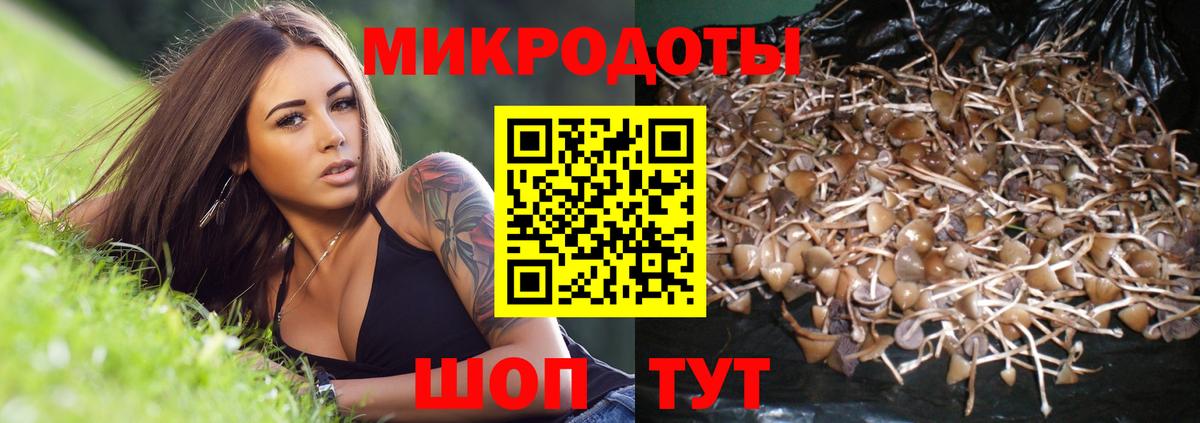 Галлюциногенные грибы Psilocybe  Вход с VPN  хочу   Солнечногорск 