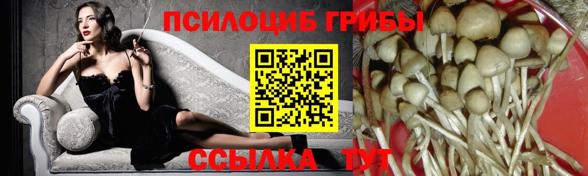 Галлюциногенные грибы Cubensis Солнечногорск