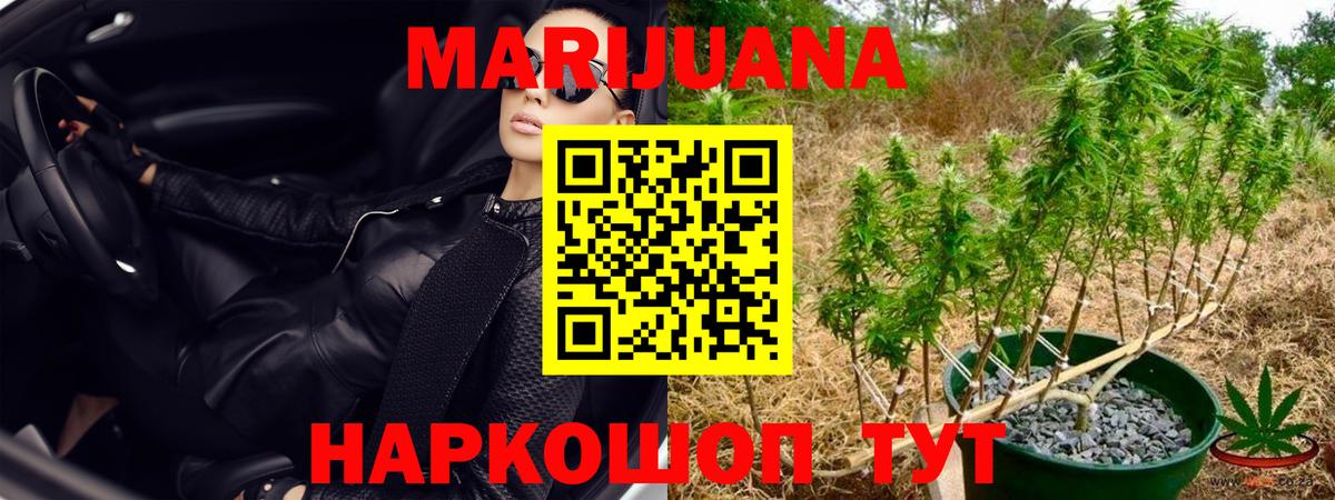 Канабис Bruce Banner Солнечногорск